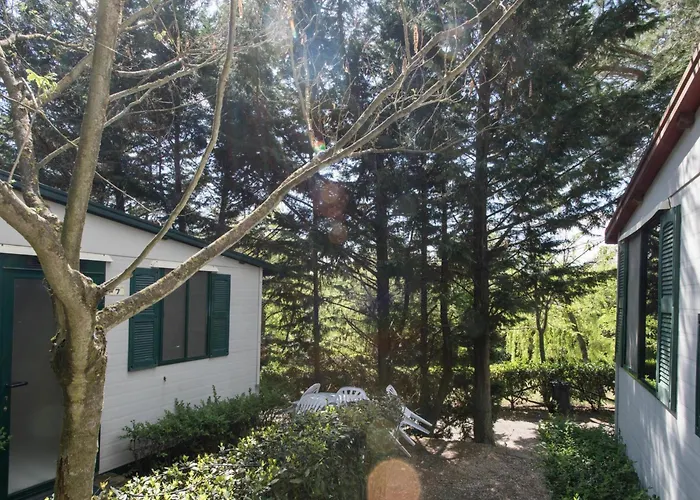 Camping Happy Village&camping La Giustiniana